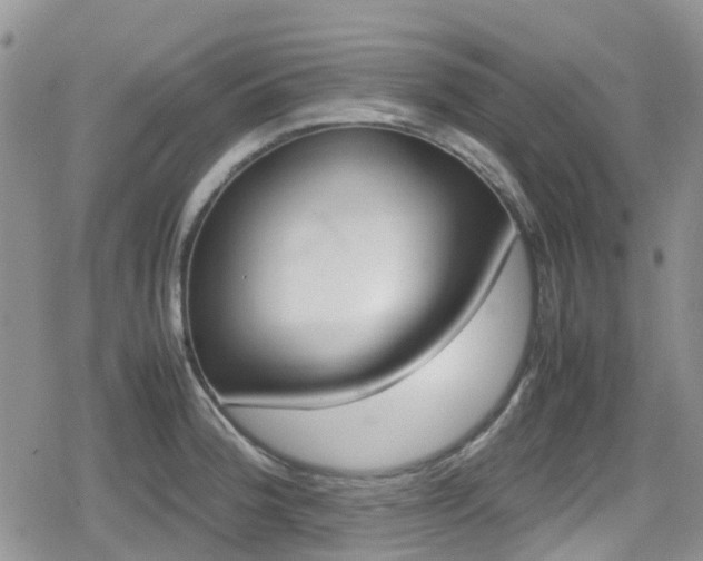 X0000080121188200612081244