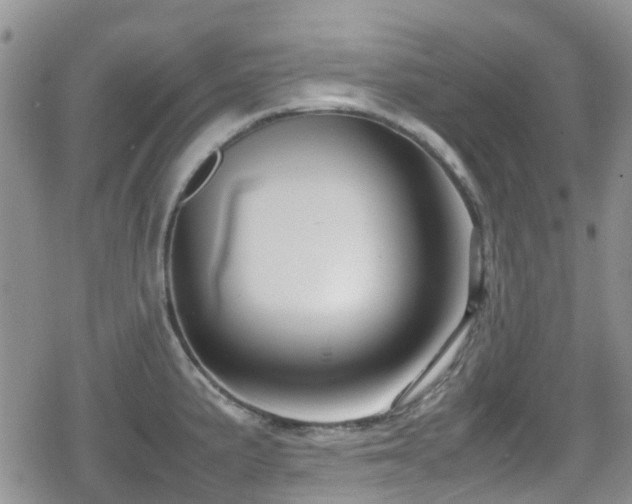 X0000080121191200612081244