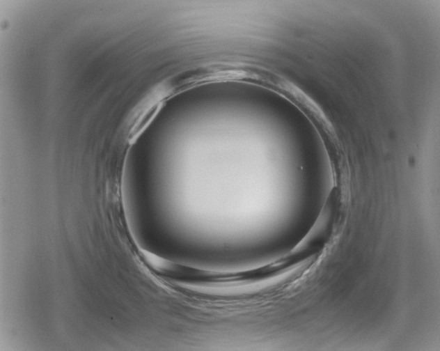 X0000080121193200612081244