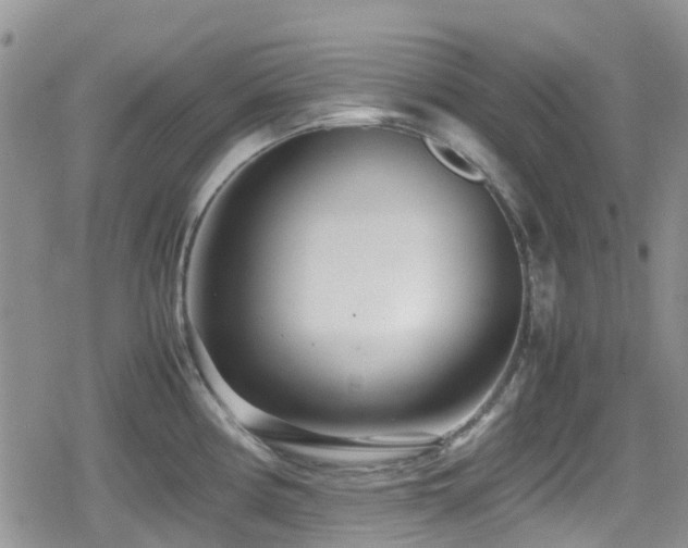 X0000080121194200612081244