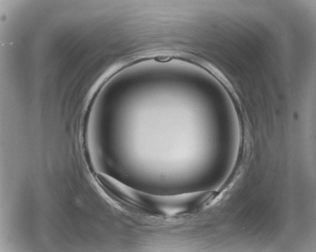 X0000080121197200612081244