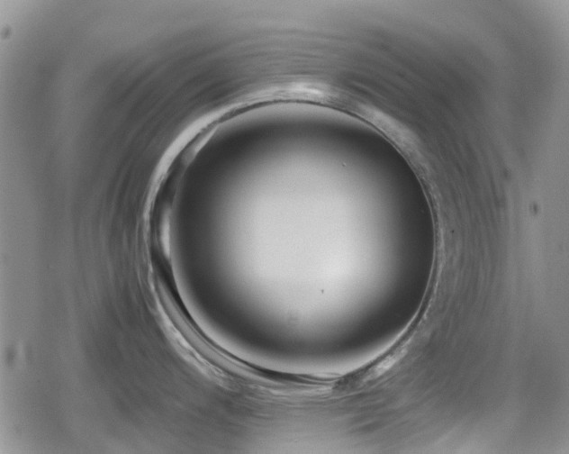 X0000080121200200612081244