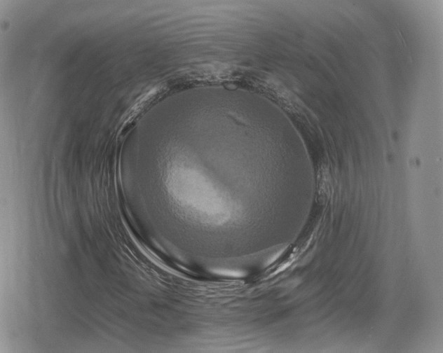 X0000080121202200612081243