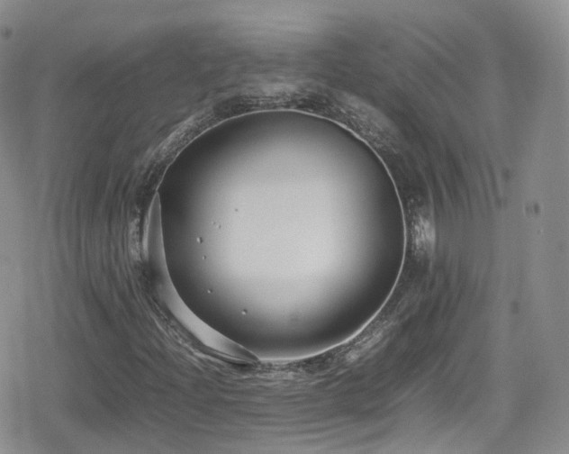 X0000080121204200612081243