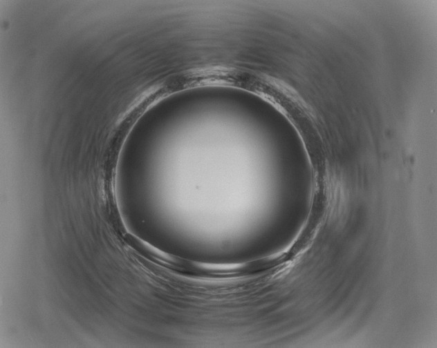 X0000080121209200612081243
