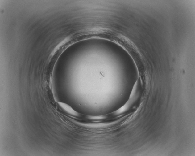 X0000080121210200612081243
