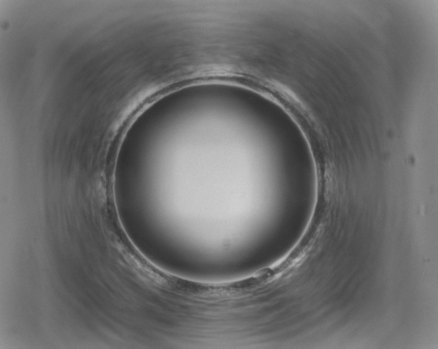 X0000080121212200612081243