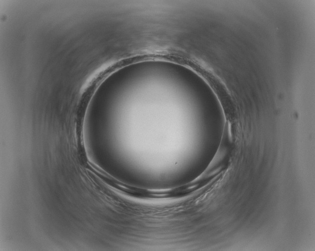 X0000080121214200612081243