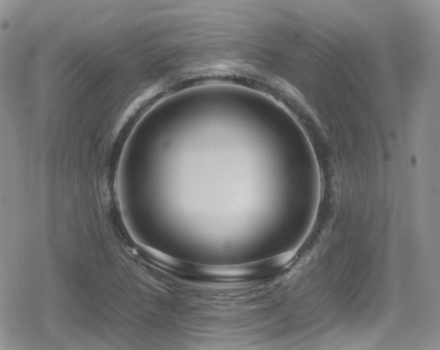 X0000080121218200612081244