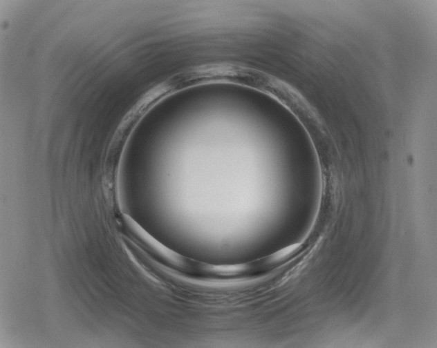 X0000080121225200612081244
