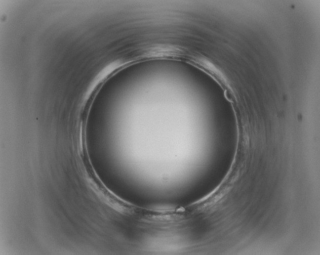 X0000080121227200612081244