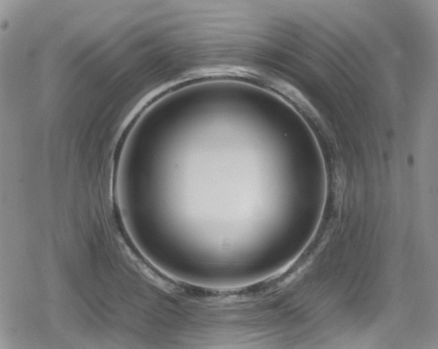 X0000080121228200612081244