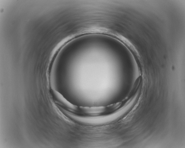 X0000080121238200612081244