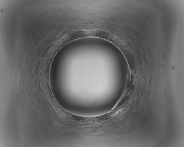 X0000080121249200612081243