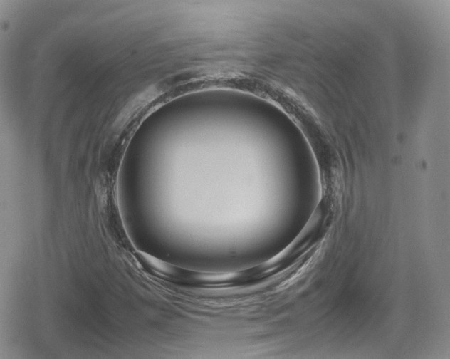 X0000080121257200612081243