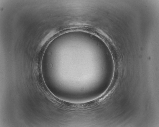 X0000080121259200612081243