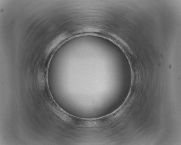 X0000080121266200612081243