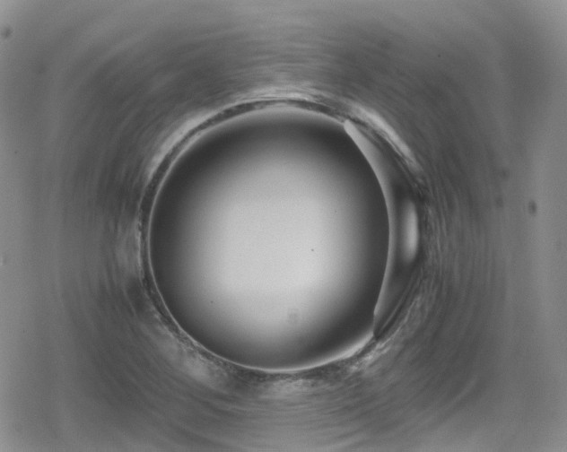 X0000080121268200612081243