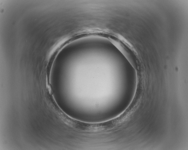 X0000080121269200612081243