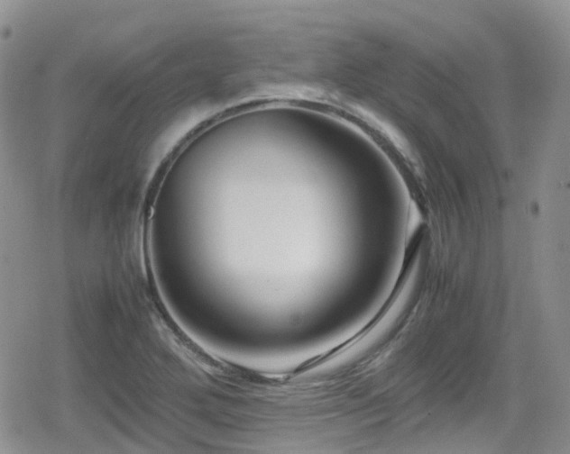 X0000080121272200612081243