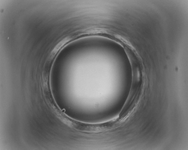X0000080121273200612081243