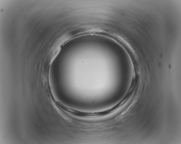 X0000080121281200612081243