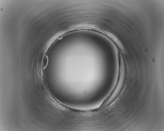 X0000080121288200612081243