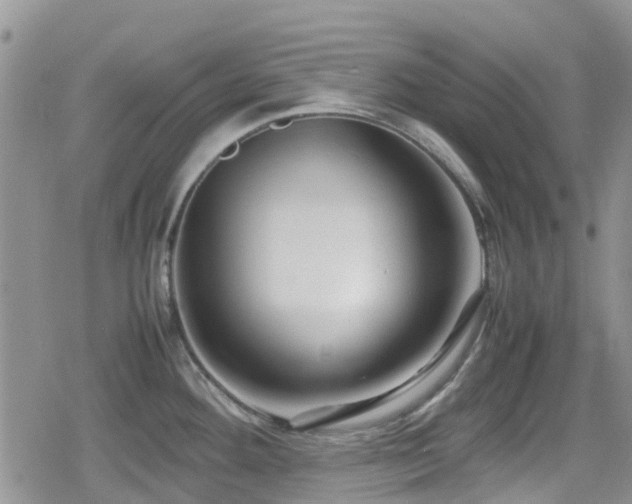 X0000080121292200612081243