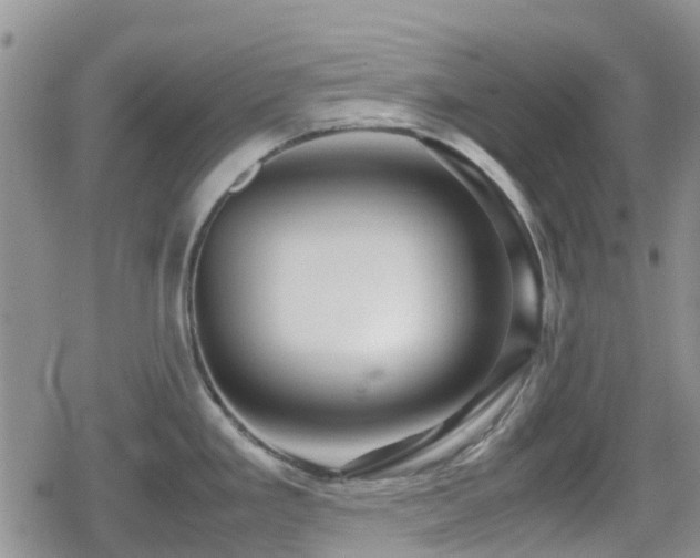 X0000080121293200612081243