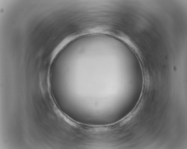 X0000080121294200612081242