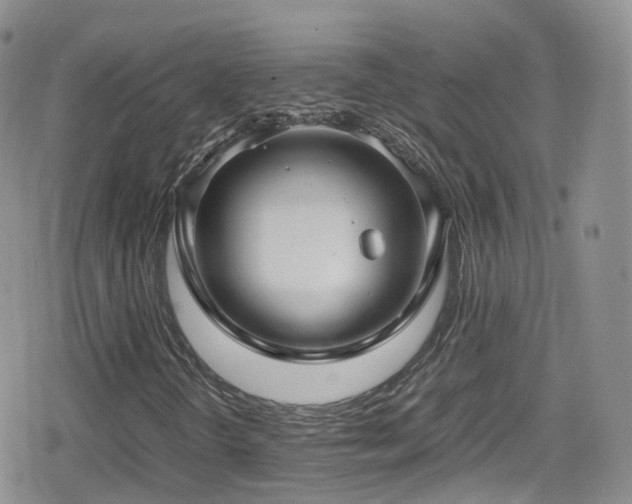 X0000080121298200612081242