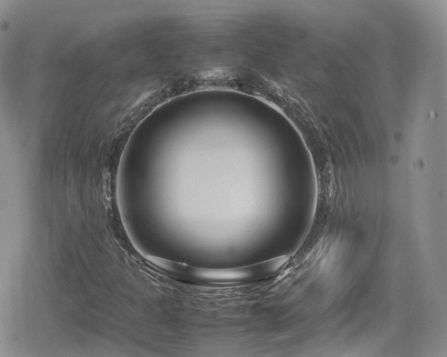 X0000080121301200612081242