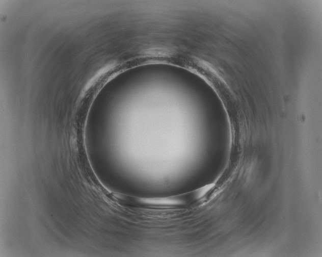 X0000080121307200612081242
