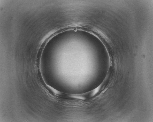 X0000080121308200612081242