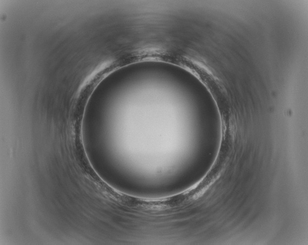 X0000080121309200612081242