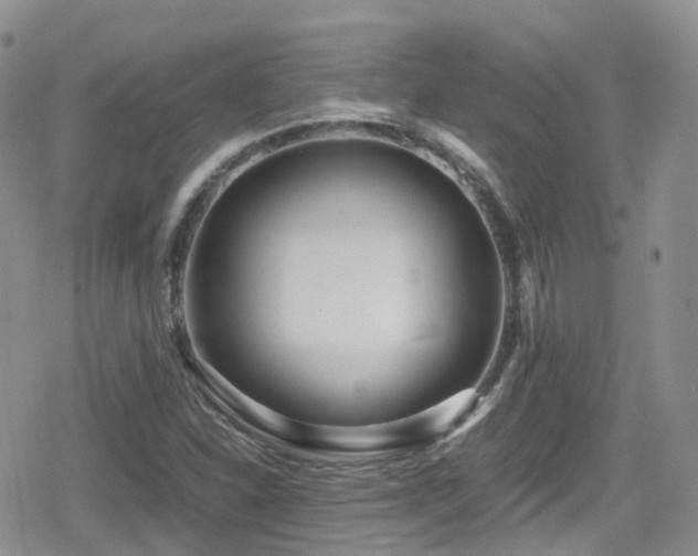 X0000080121310200612081242