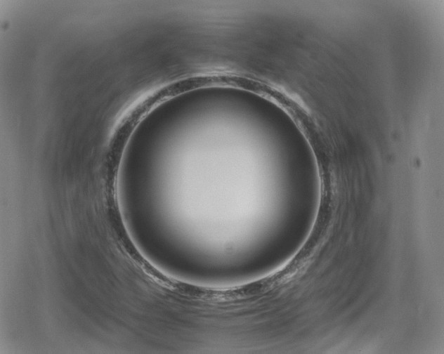 X0000080121311200612081242