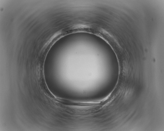 X0000080121313200612081242