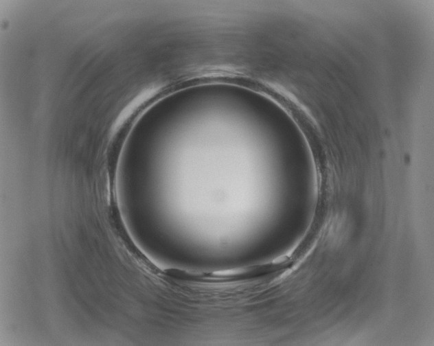 X0000080121317200612081242