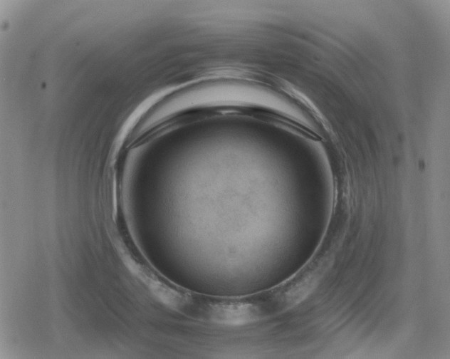 X0000080121323200612081242