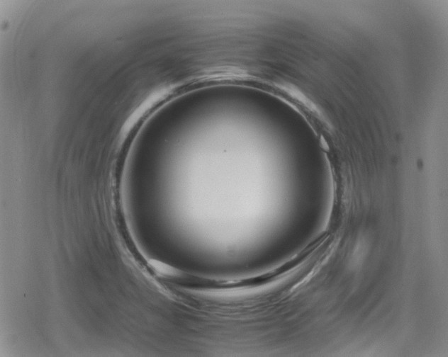 X0000080121325200612081242