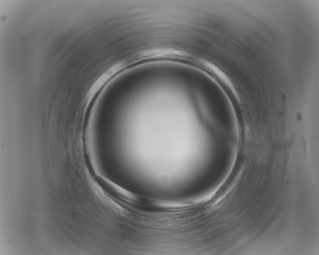 X0000080121330200612081242