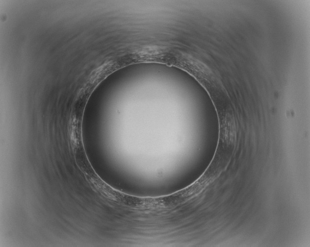 X0000080121346200612081242