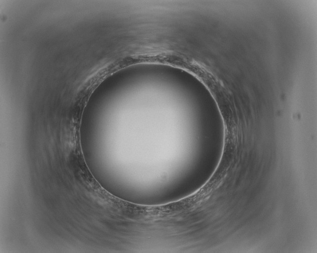 X0000080121350200612081242