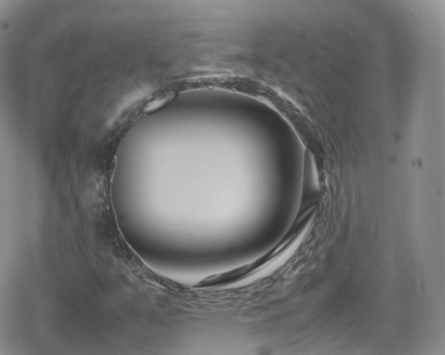 X0000080121351200612081242