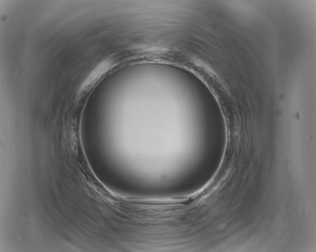 X0000080121354200612081242