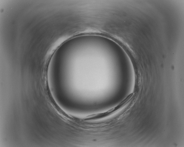 X0000080121367200612081241