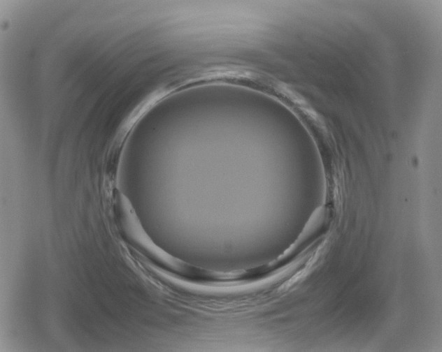 X0000080121369200612081241