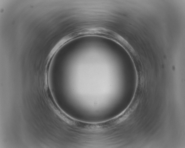X0000080121370200612081241