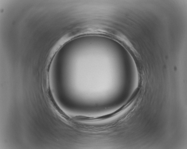 X0000080121371200612081241
